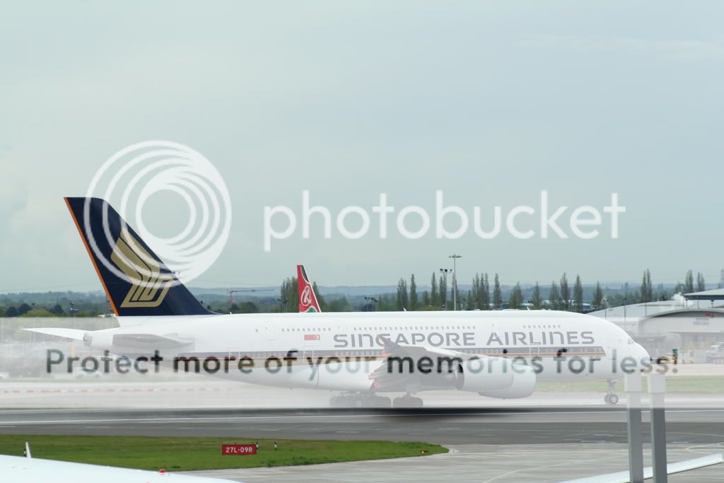 LHR313.jpg