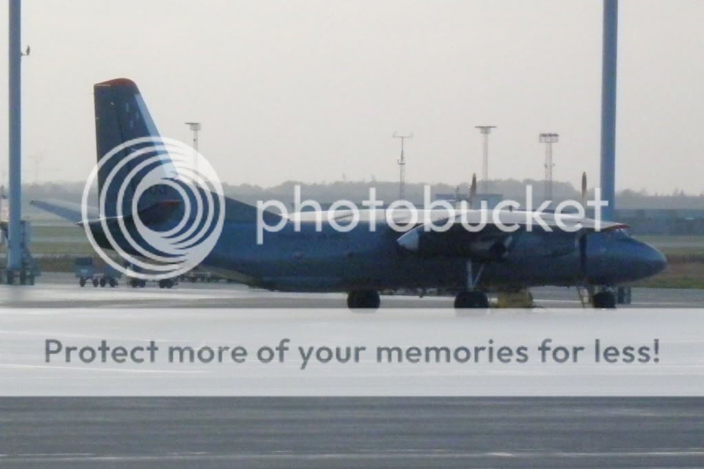 PA280253.jpg