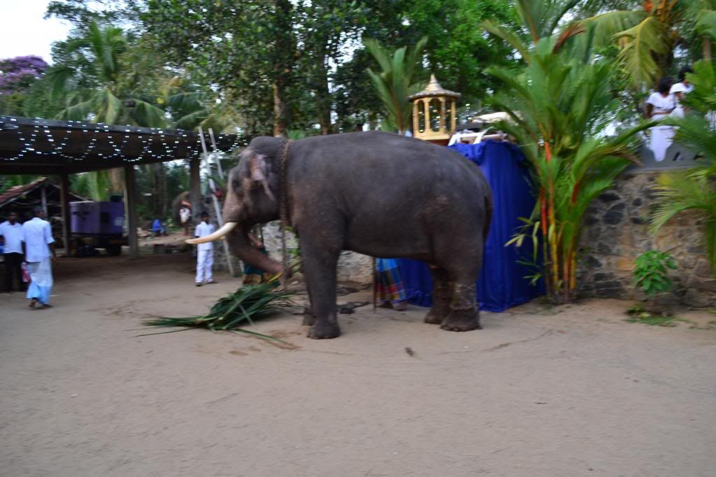 DSC_2748_zps17a1ec39.jpg