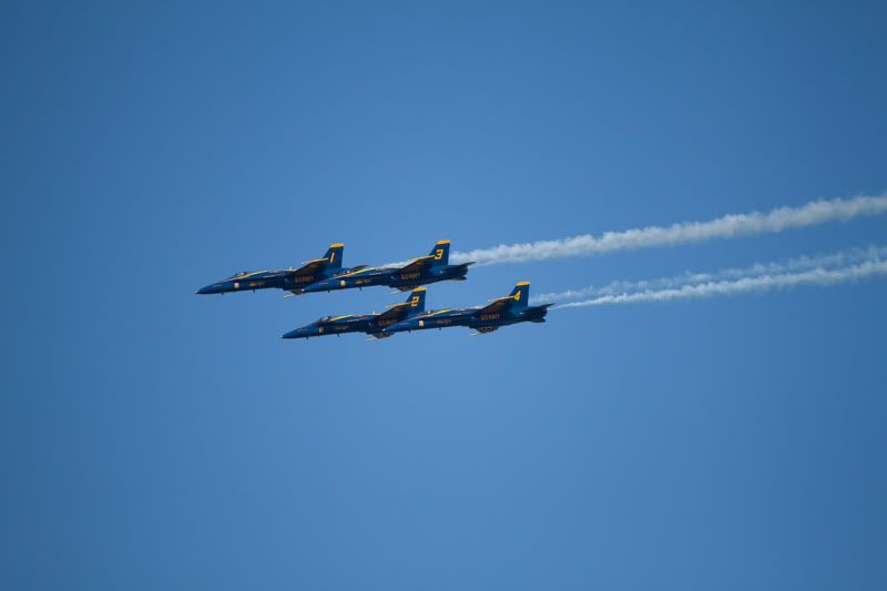 IMG_5675.jpg