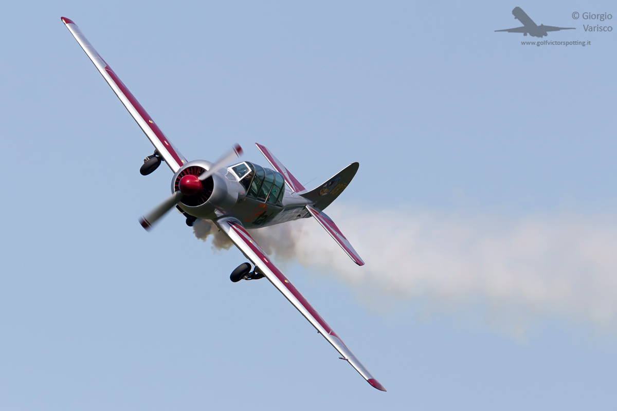 _MG_3013_260622.jpg