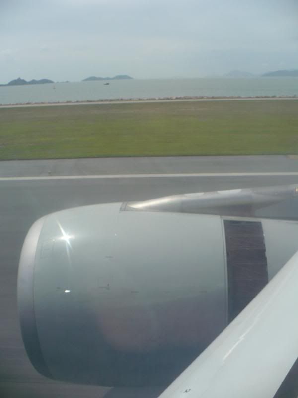 P1000325.jpg