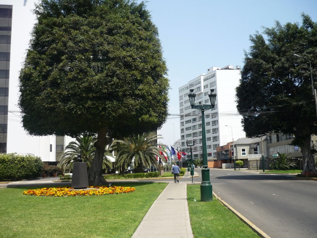 P1010520.jpg