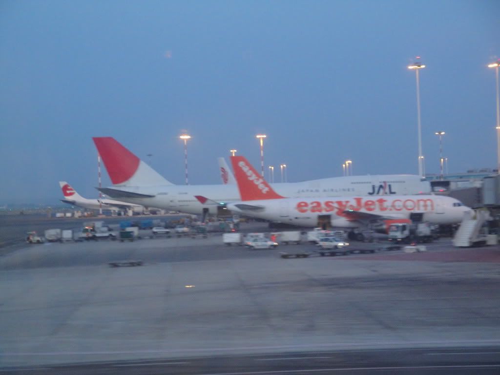 DSC01930.jpg