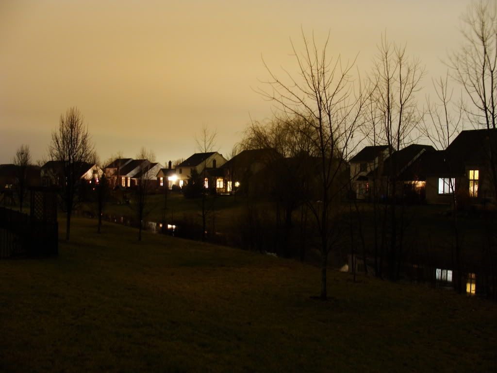 DSC00157.jpg