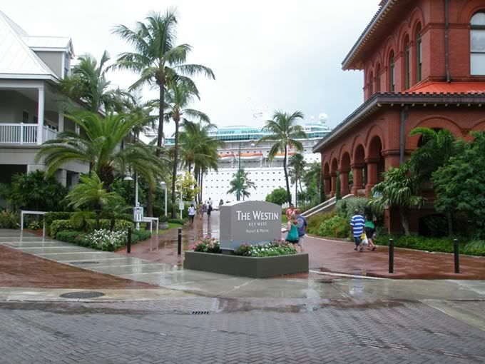 tr22.jpg