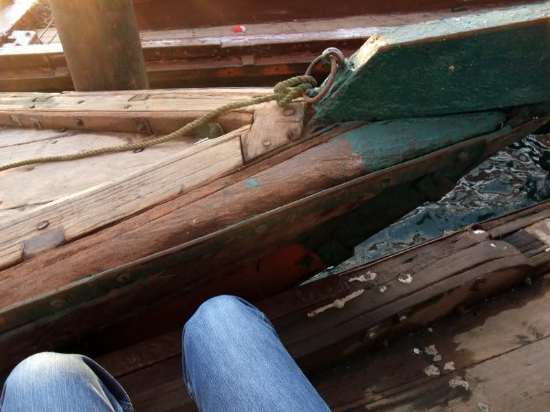 DSCF8584.jpg