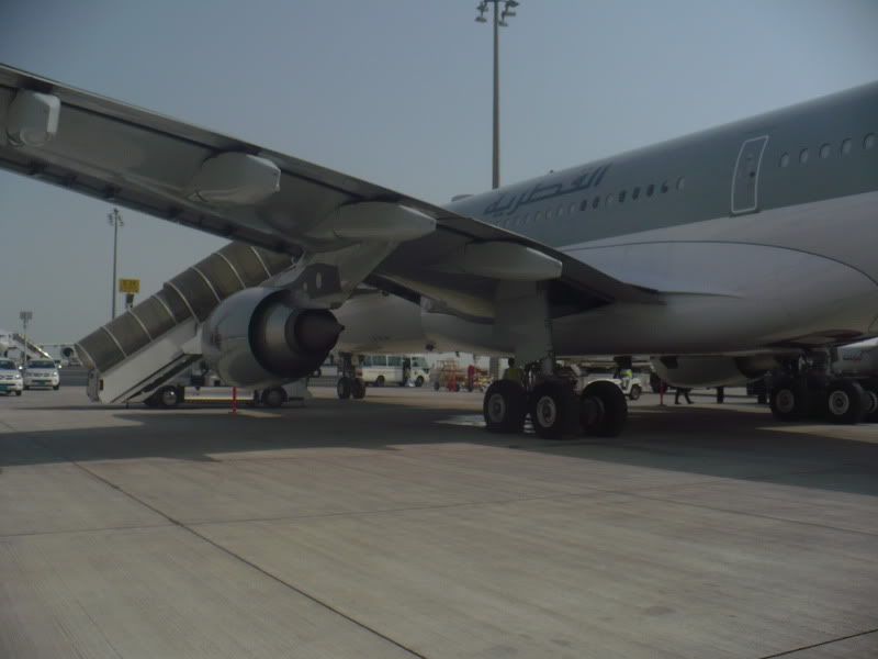 P1020158.jpg