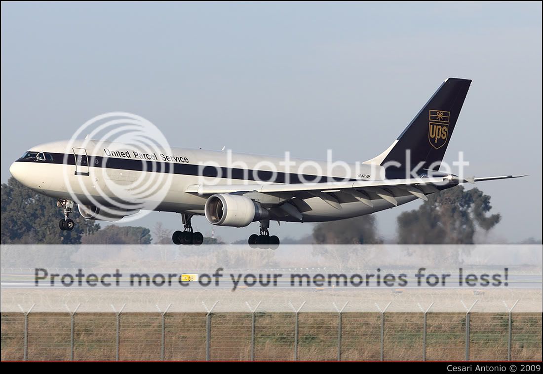 026_n147up__bibbi.jpg