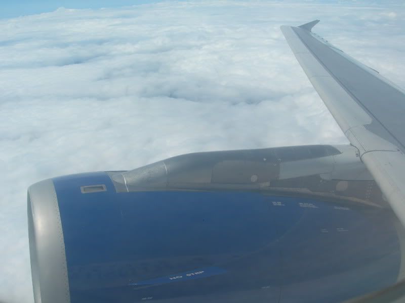 DSCN9950.jpg