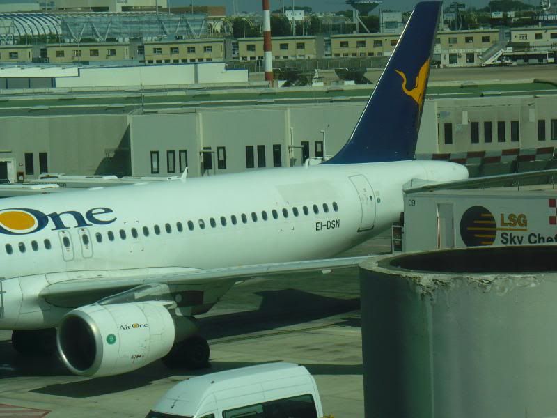 P1000205.jpg