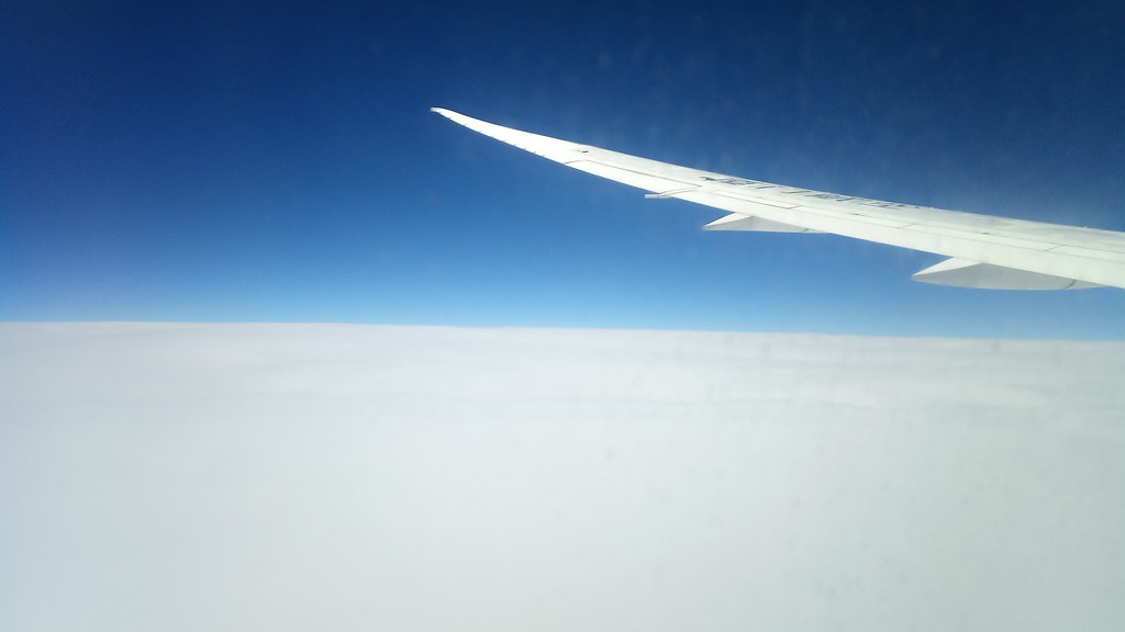54649384356_1916180b60_b.jpg