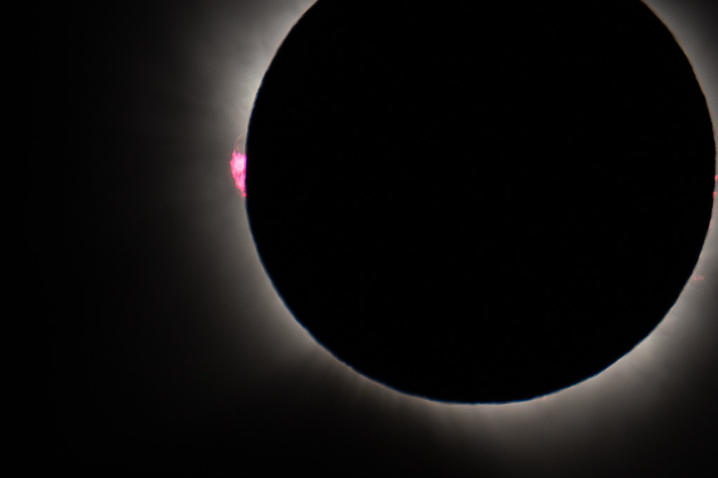 55467689880_be9f99ce36_b.jpg