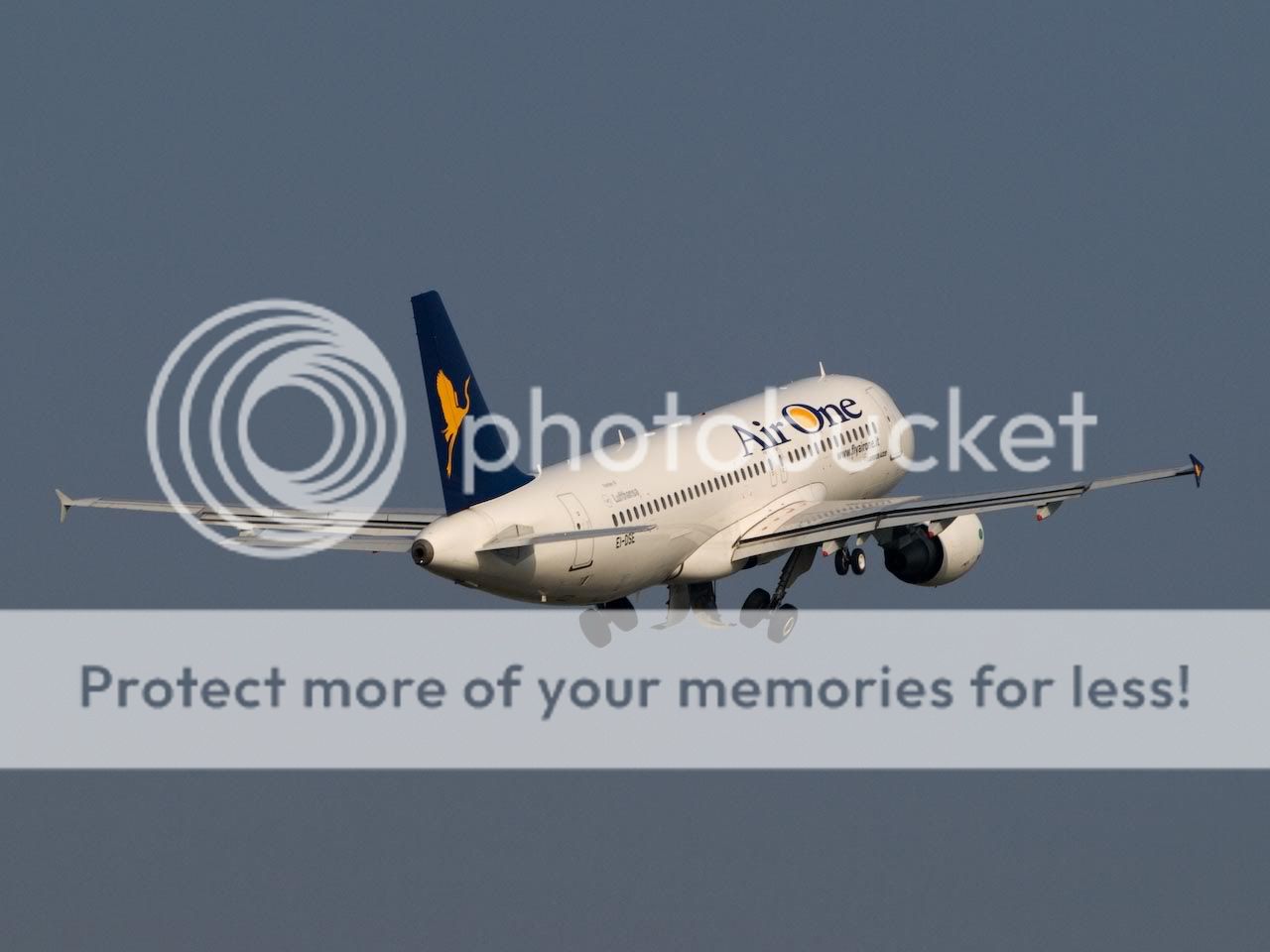 PA261047.jpg