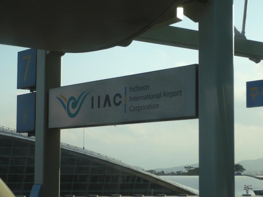 P1-1.jpg