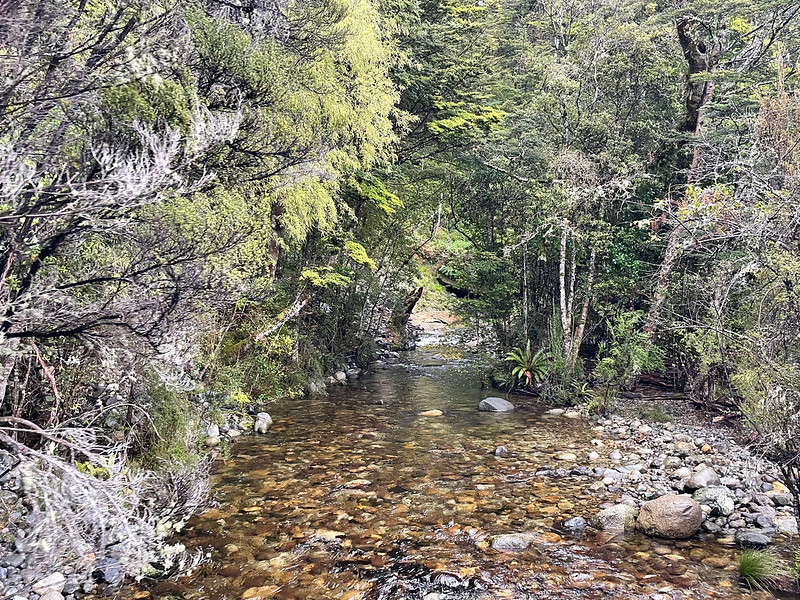 54326236337_c3816fe864_c.jpg