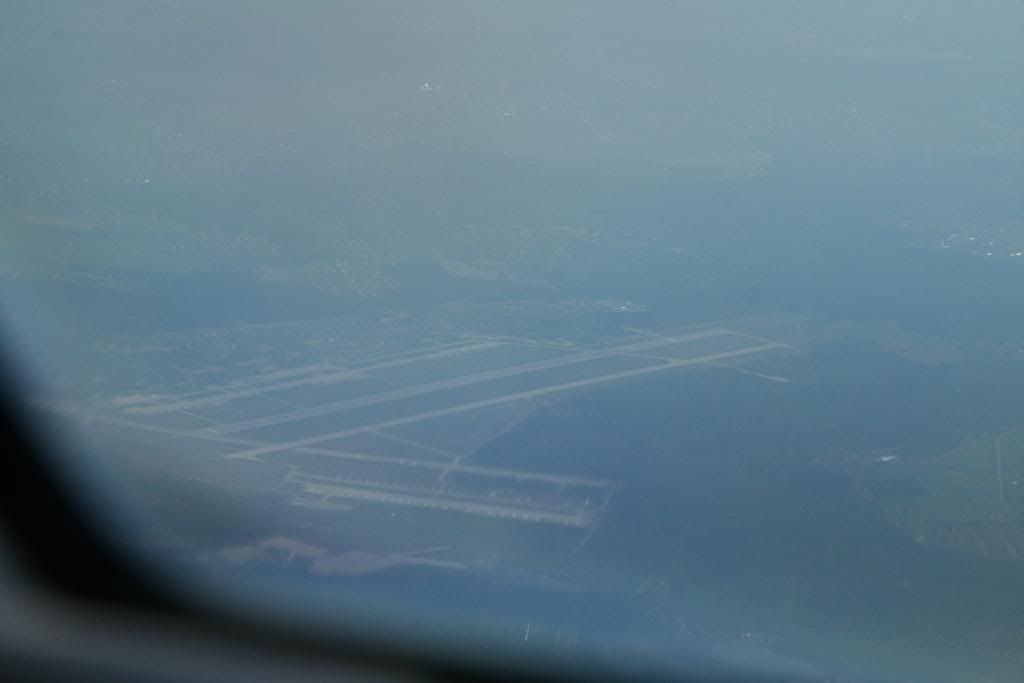 mosca57.jpg