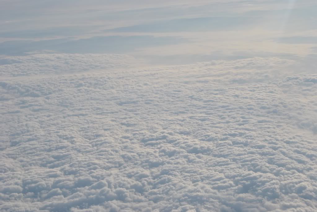 DSC_0048.jpg