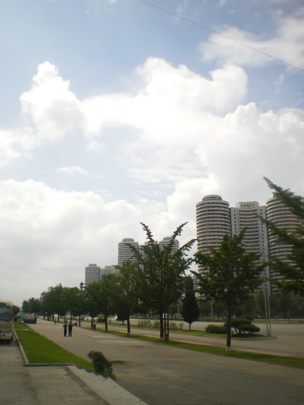IMGP6115.jpg