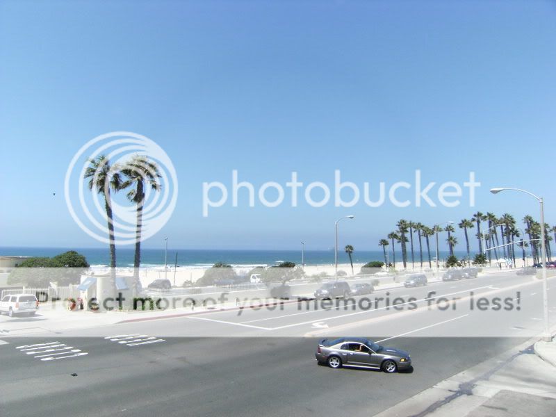 California195.jpg