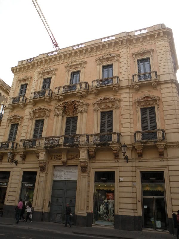DSCN8260.jpg