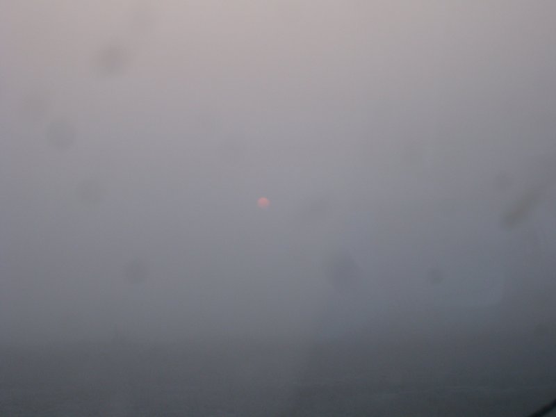 S7305452.jpg