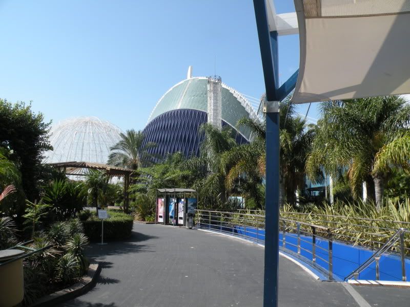 DSCN9171.jpg