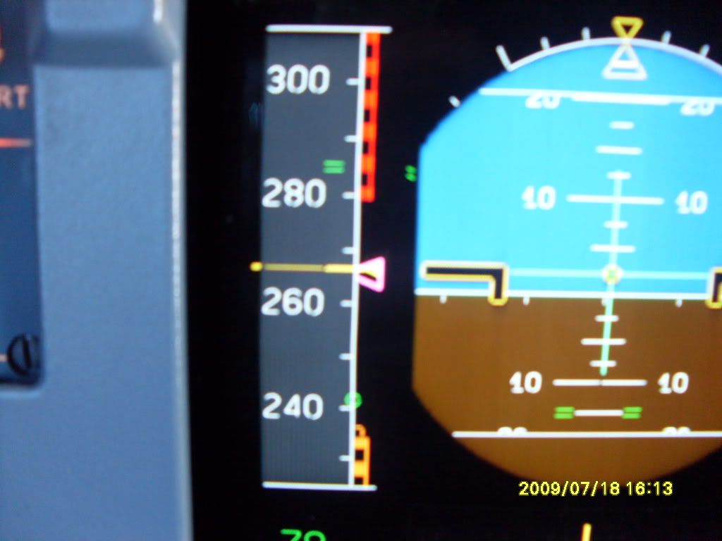 SDC10763.jpg