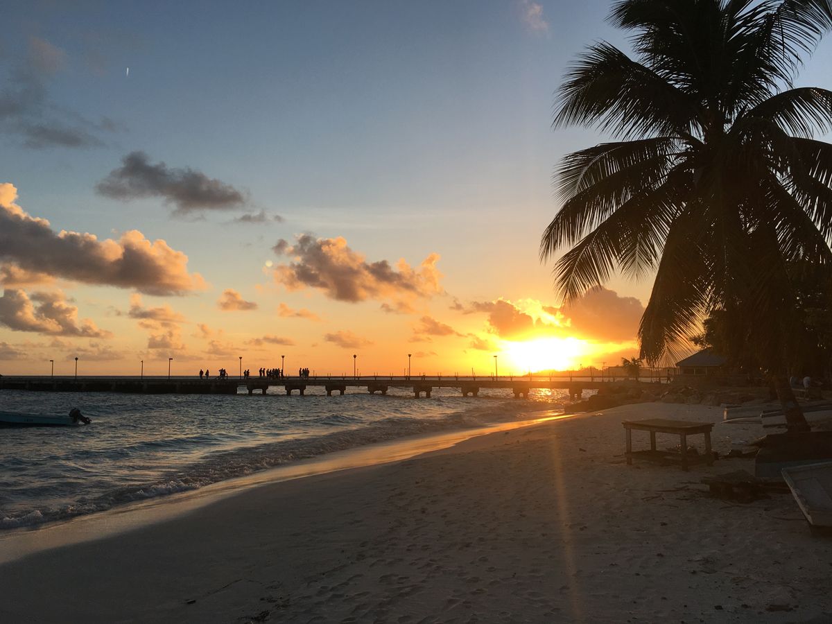 Barbados0140.jpg