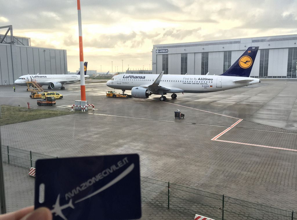 320NEO_009.jpg