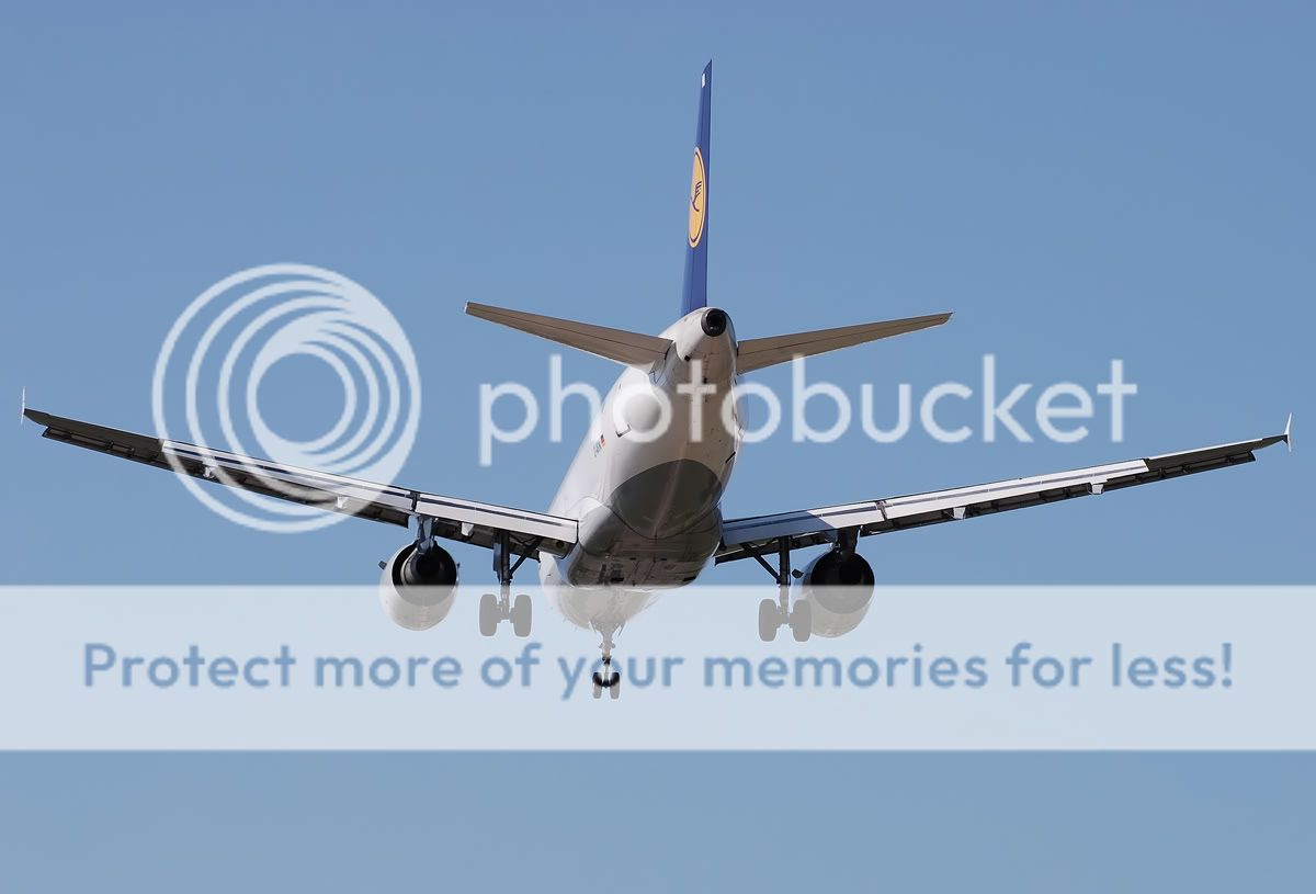 D-AILI.jpg
