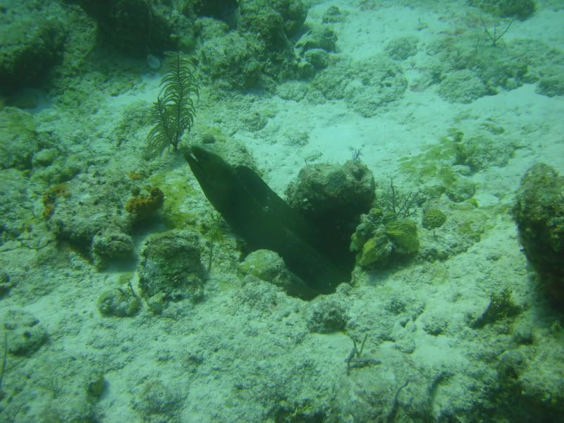 DSC08471.jpg
