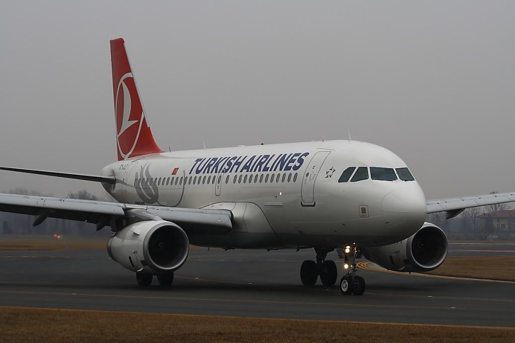 A319TurkishAirlines2.jpg