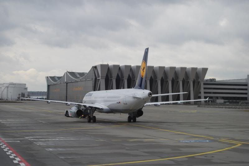 DSC_0020-1.jpg