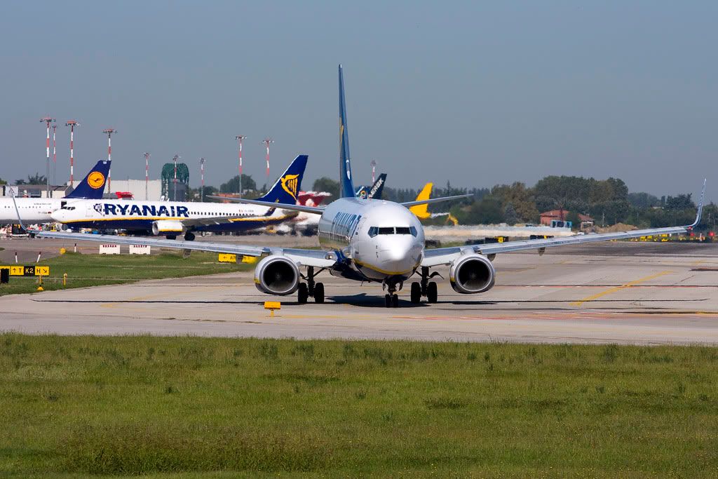 EI-DHG.jpg