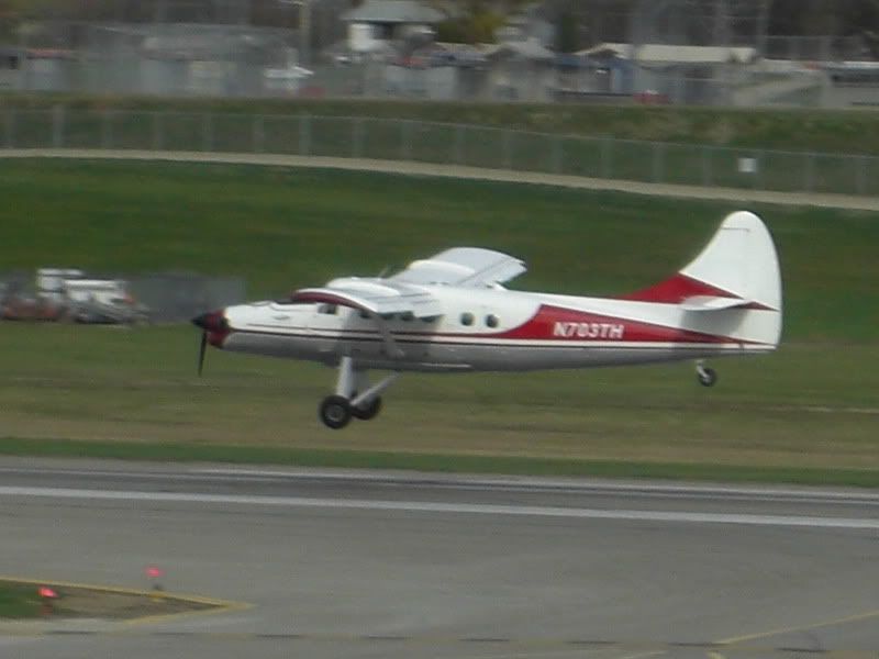 CIMG8561.jpg