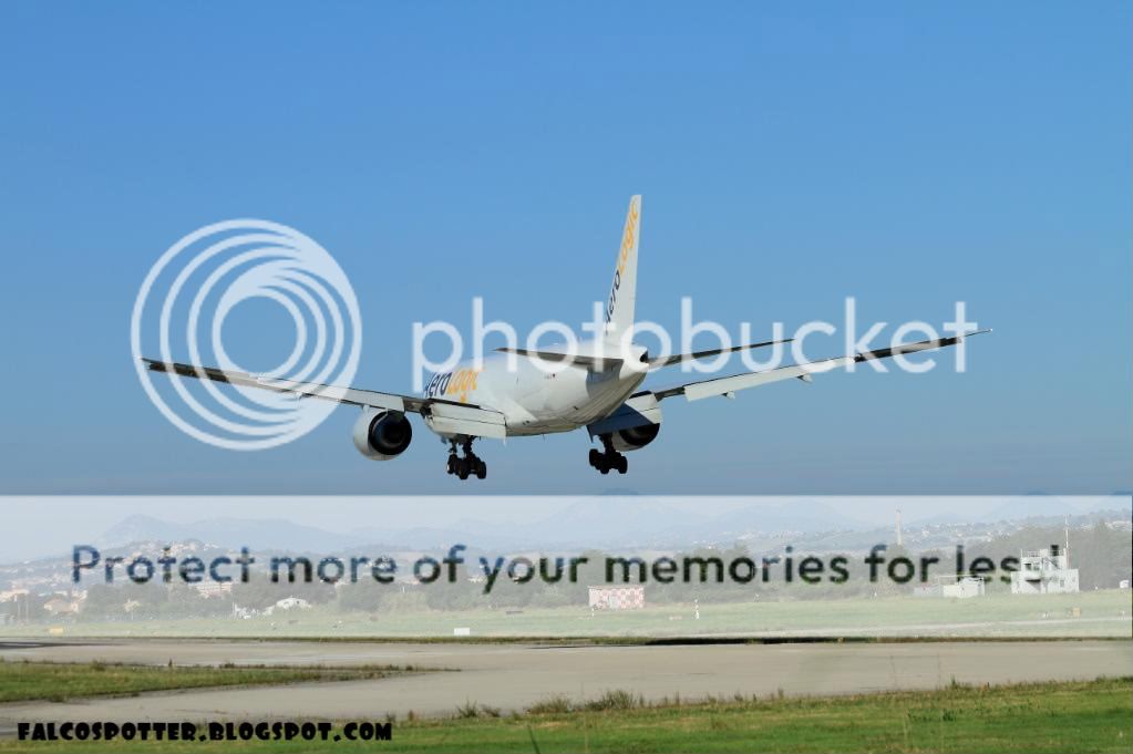 IMG_1130900.jpg