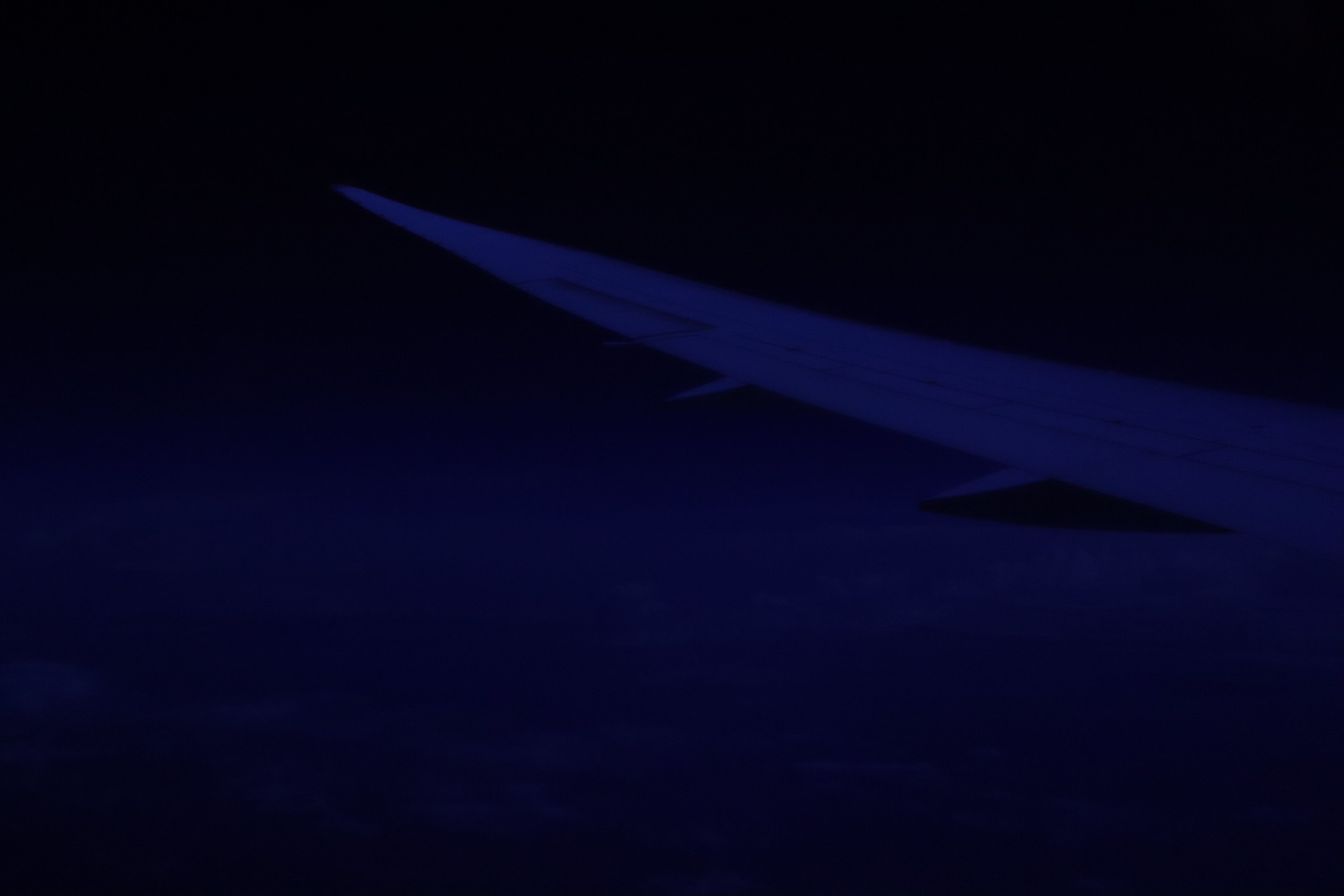 49044886182_5b7f1772f6_k.jpg