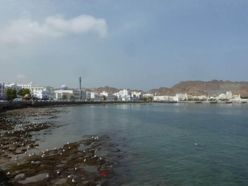 P1110383.jpg