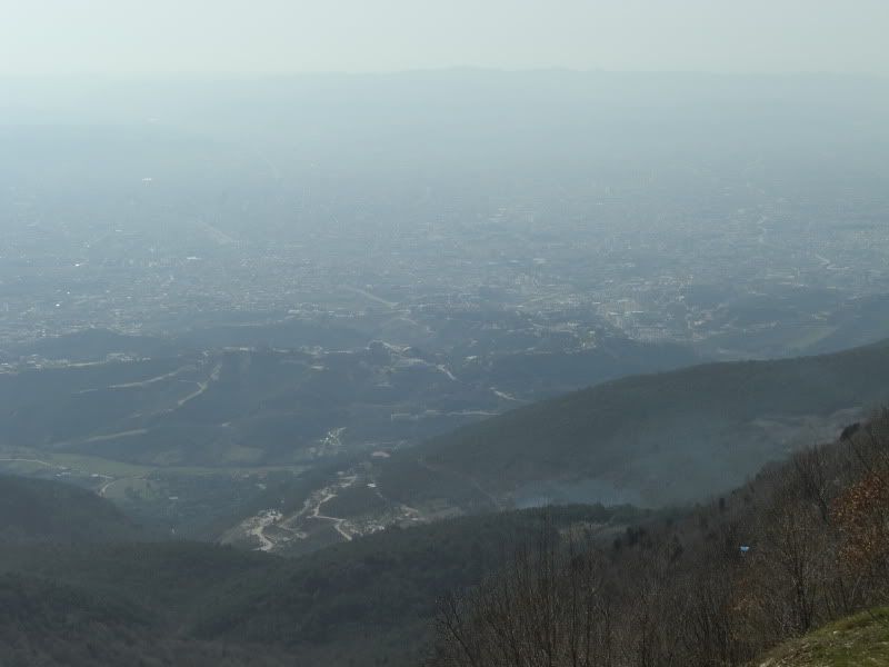 CIMG8108.jpg