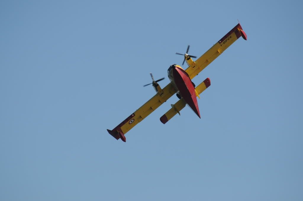 DSC_0385.jpg