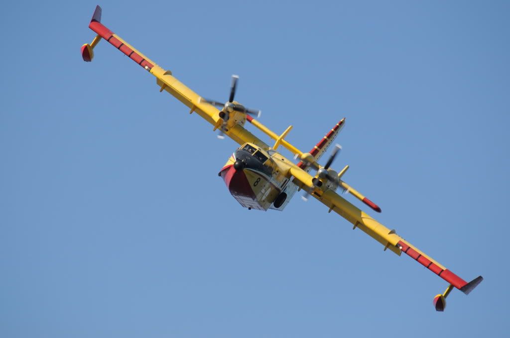 DSC_0433.jpg