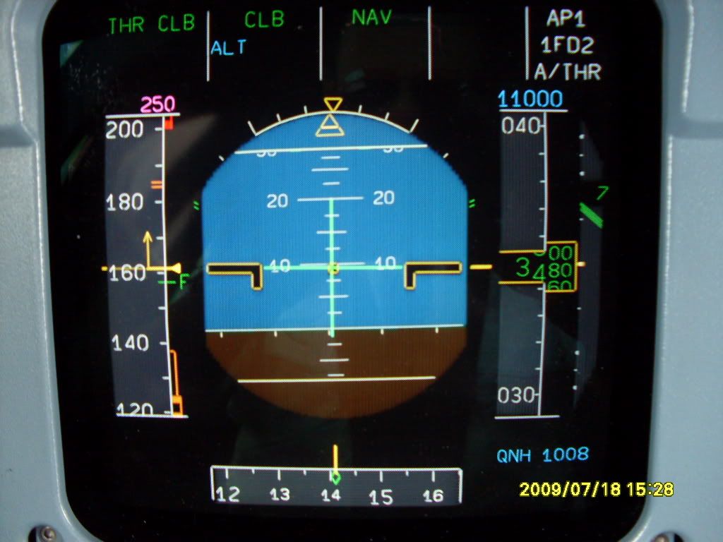 SDC10728.jpg
