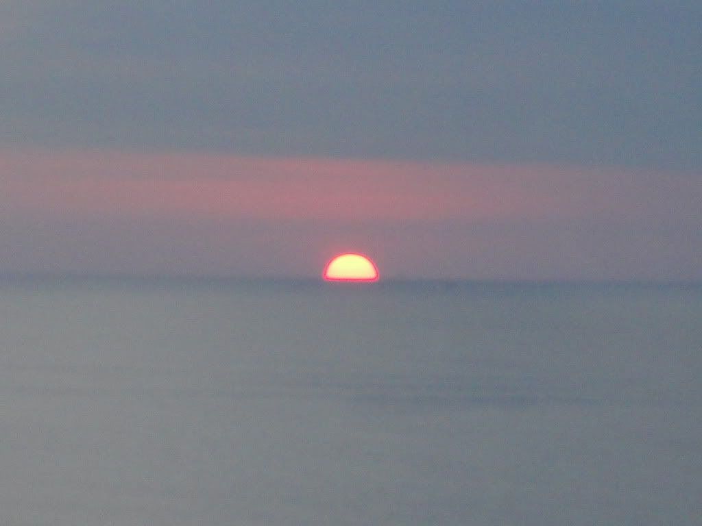 DSC05519.jpg