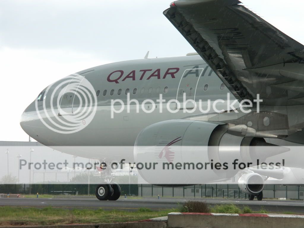 PICT0146.jpg
