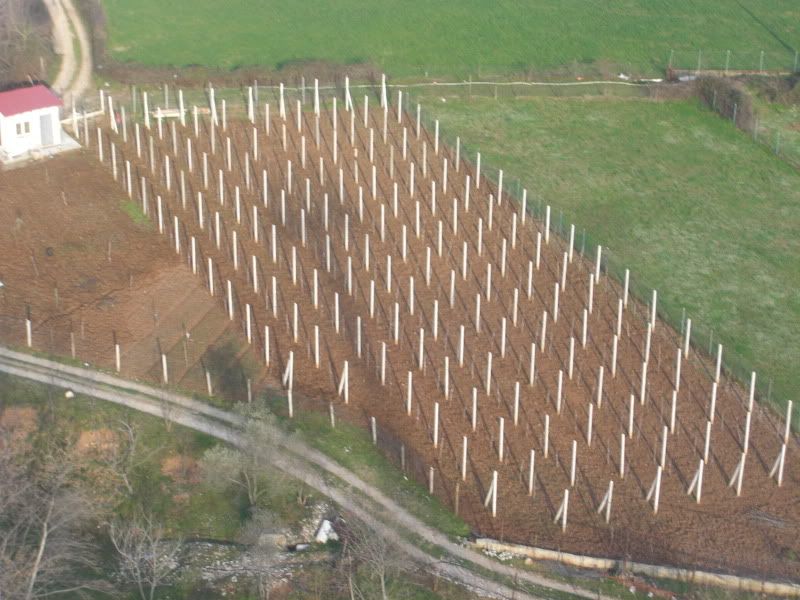 CIMG8124.jpg