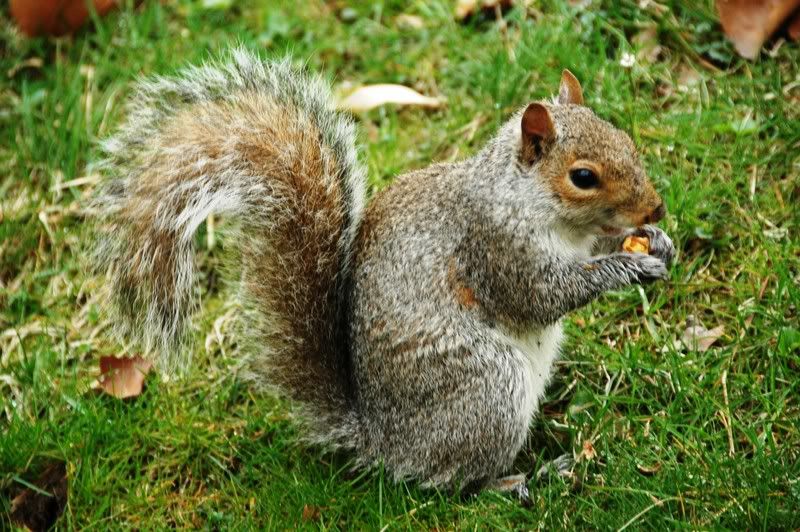DSC_8393.jpg