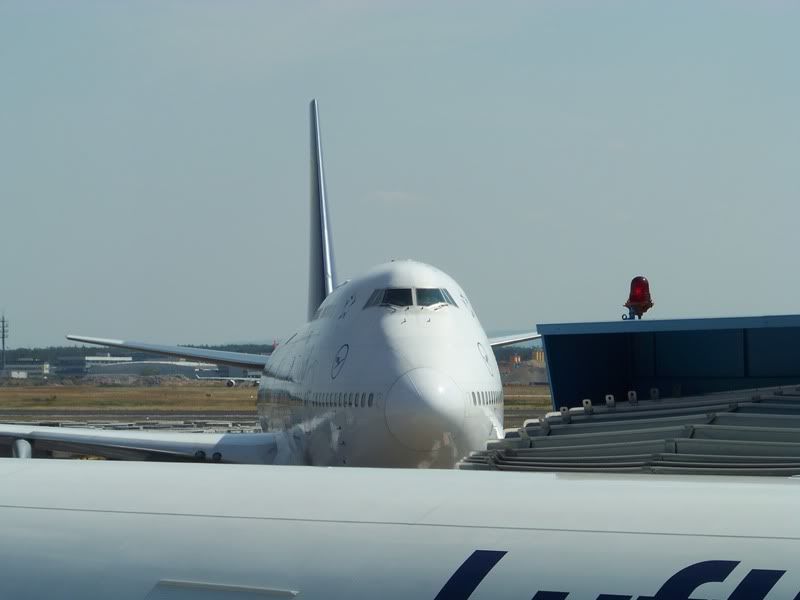 100_4022.jpg
