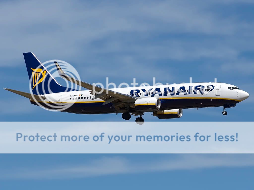 ei-dyg.jpg