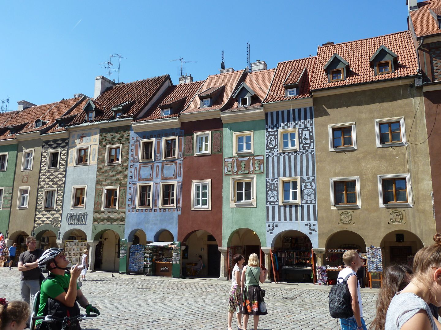 P1030562.jpg